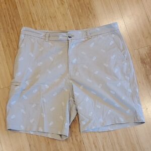 Men's shorts W/Pineapple